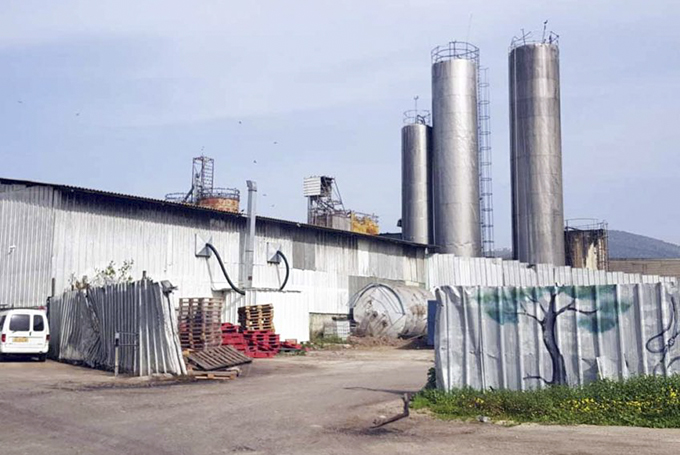 אלקבץ דורש מזיס ובצר: סיגרו מייד את שיבולת דגן